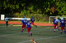 Enlarge photo 60