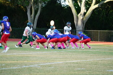 Enlarge photo 61