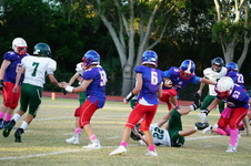 Enlarge photo 78