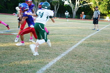 Enlarge photo 88