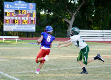 Enlarge photo 92