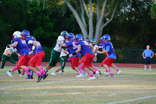 Enlarge photo 95
