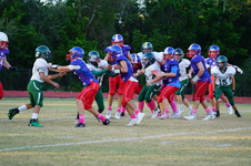 Enlarge photo 98