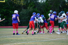 Enlarge photo 99