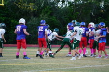 Enlarge photo 103