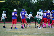 Enlarge photo 102