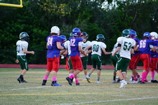 Enlarge photo 105