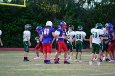 Enlarge photo 106