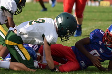 Enlarge photo 13