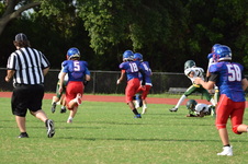 Enlarge photo 32