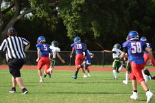 Enlarge photo 34