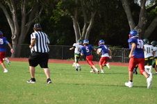 Enlarge photo 35