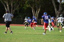 Enlarge photo 36