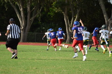 Enlarge photo 37