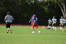 Enlarge photo 40