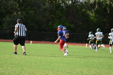 Enlarge photo 41