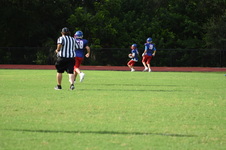 Enlarge photo 44