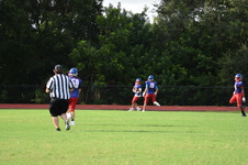 Enlarge photo 45