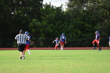 Enlarge photo 46
