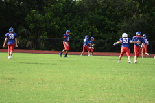 Enlarge photo 48
