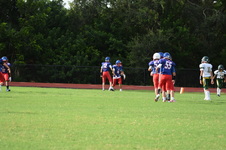 Enlarge photo 51