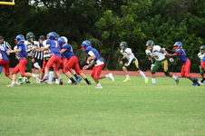 Enlarge photo 55
