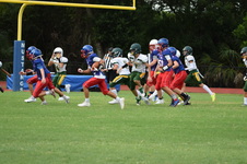 Enlarge photo 58