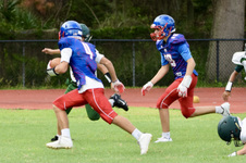 Enlarge photo 59