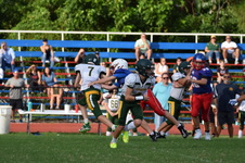 Enlarge photo 64