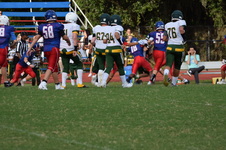 Enlarge photo 73