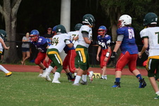 Enlarge photo 78