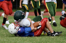 Enlarge photo 80