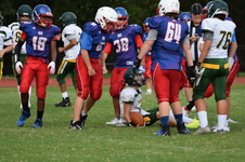 Enlarge photo 88