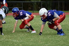 Enlarge photo 93