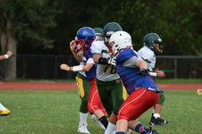 Enlarge photo 96