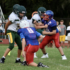 Enlarge photo 102
