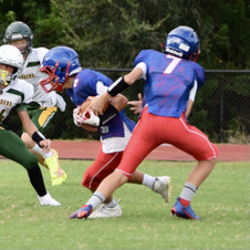 Enlarge photo 127