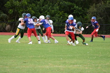 Enlarge photo 130