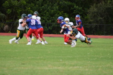Enlarge photo 131