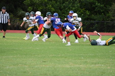Enlarge photo 133