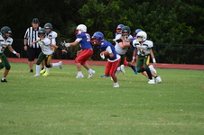 Enlarge photo 135