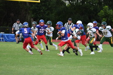 Enlarge photo 139