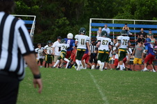 Enlarge photo 154