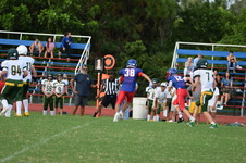 Enlarge photo 156