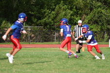 Enlarge photo 192