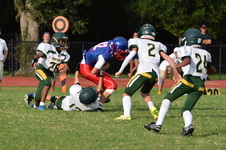 Enlarge photo 197