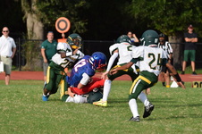 Enlarge photo 198