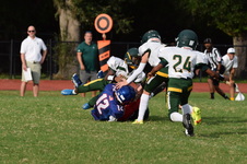 Enlarge photo 199