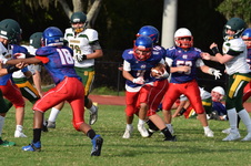 Enlarge photo 210