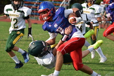 Enlarge photo 215